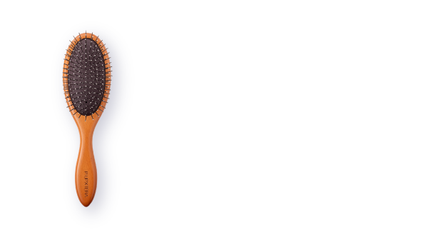 P-UPXTERA テラヘルツブラシ
